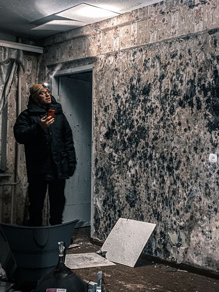 Does Renters Insurance Cover Mold? When It Is and Isn’t Covered