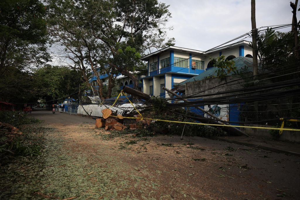 Fallen tree and damaged buildings after a storm